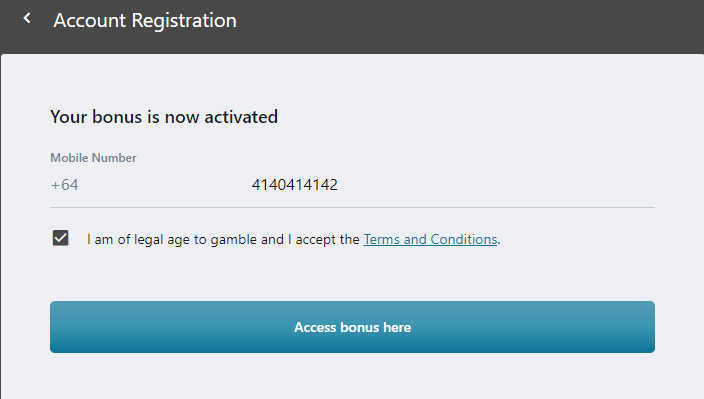 Registration on the Casino Kingdom website